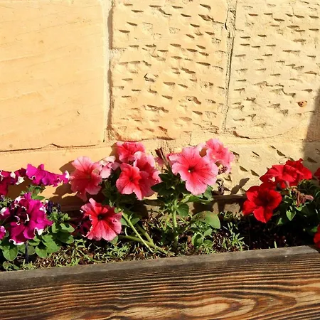 Il-wileg Bed & Breakfast 4*