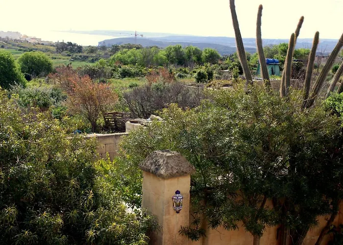 Il-wileg Отель типа 